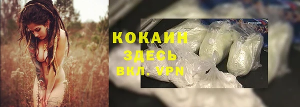 соль ск Алзамай