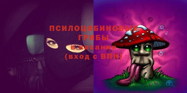 соль ск Алзамай