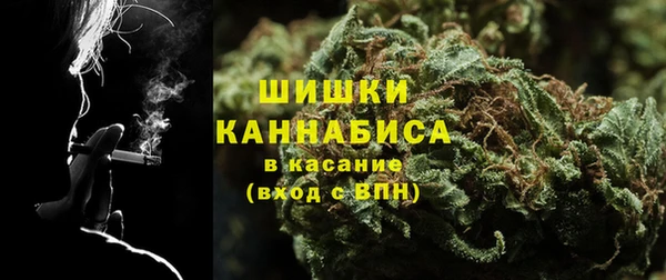 соль ск Алзамай