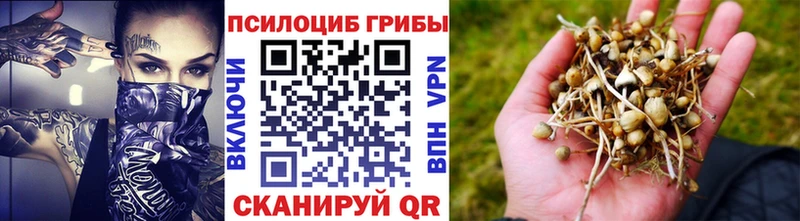 Псилоцибиновые грибы GOLDEN TEACHER  hydra онион  Алзамай 